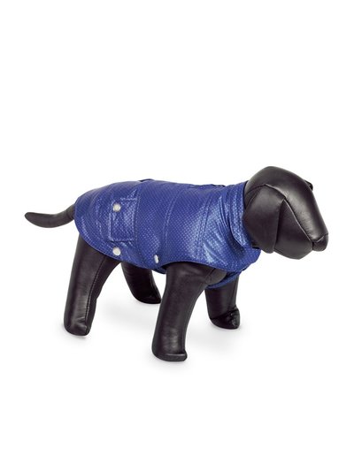 Nobby Nobby Danika Dog Coat (Blue) (17in) product
