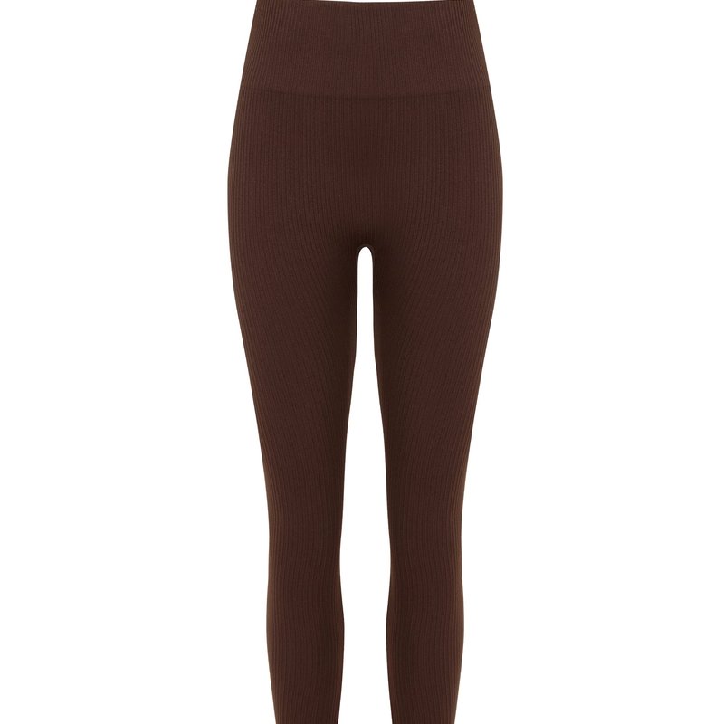 Nocturne High-waisted Stirrup Leggings In Brown