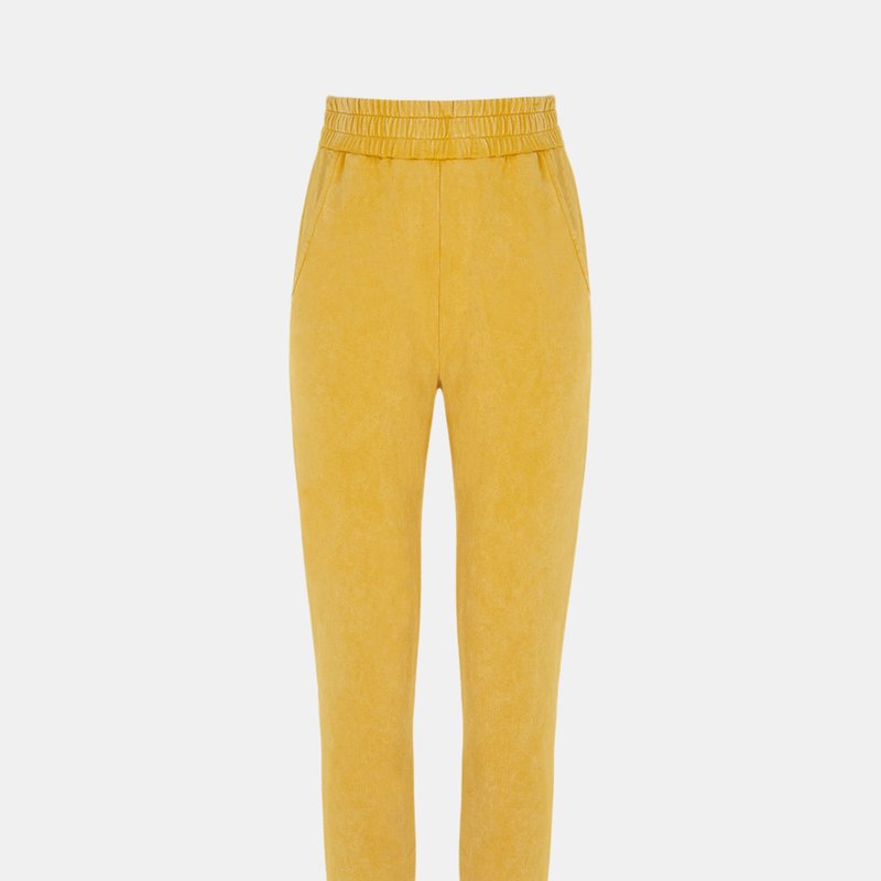 Nocturne Knitted Jogging Pants In Yellow