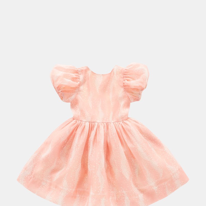 Shop Omamimini Fit & Flare Dress With Puff Sleeves In Pink