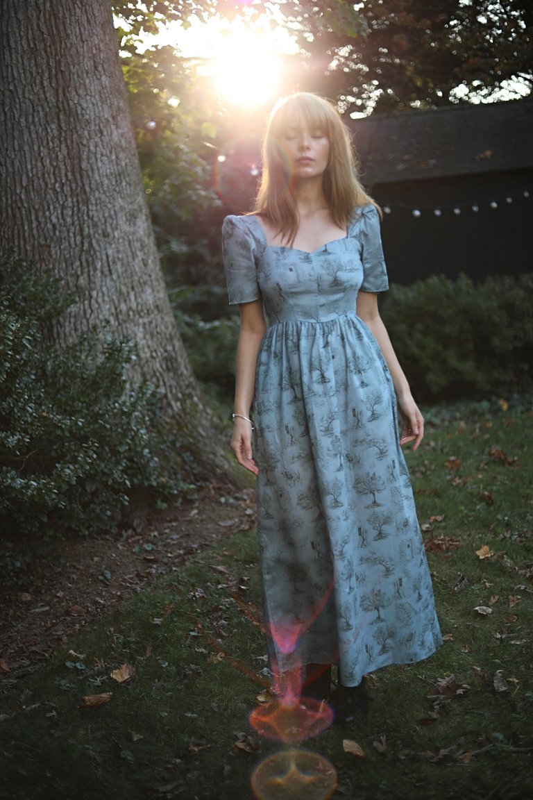Beatrice Maxi Dress With Sweetheart Neckline / Cottage Blue + Pewter Green Toile Cotton - Cottage Blue + Pewter Green