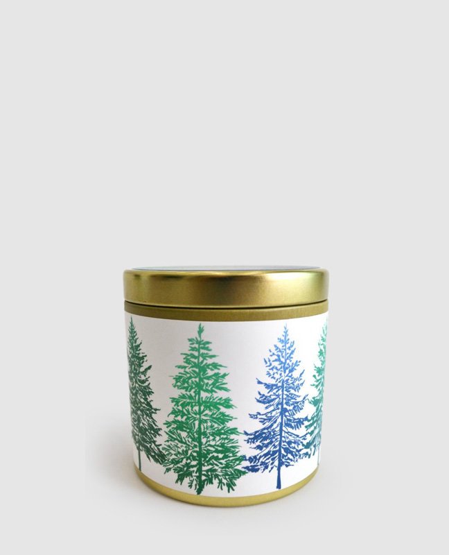 Shop Paint&petals Tahoe Pines Tin Candle
