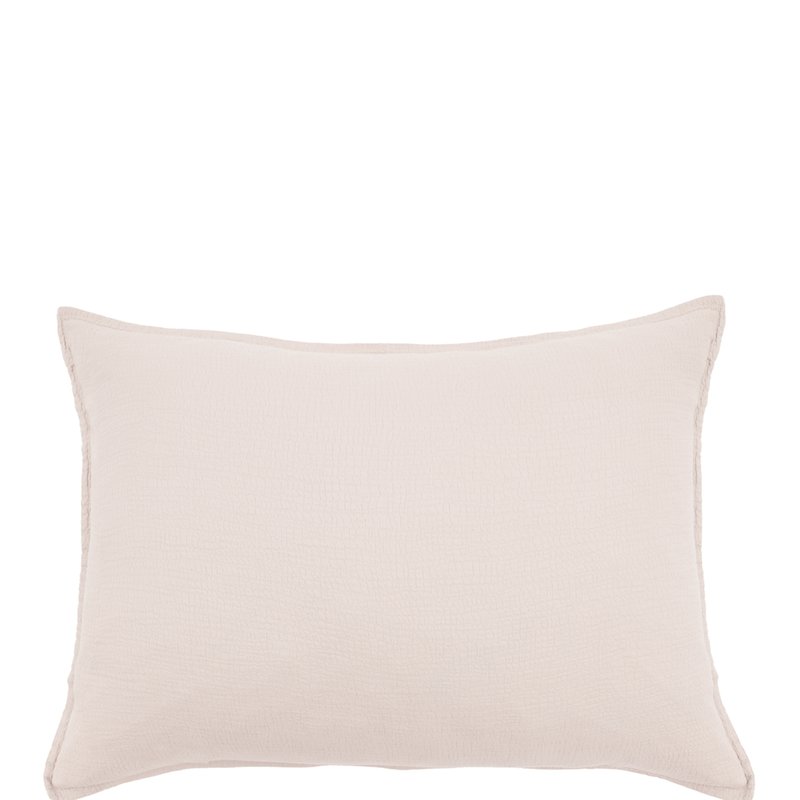 Shop Pom Pom At Home Waverly Big Pillow In Pink