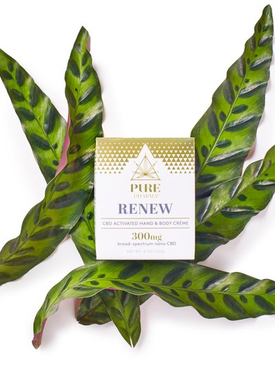 Pure Dharma Renew CBD Activated Hand & Body Crème product