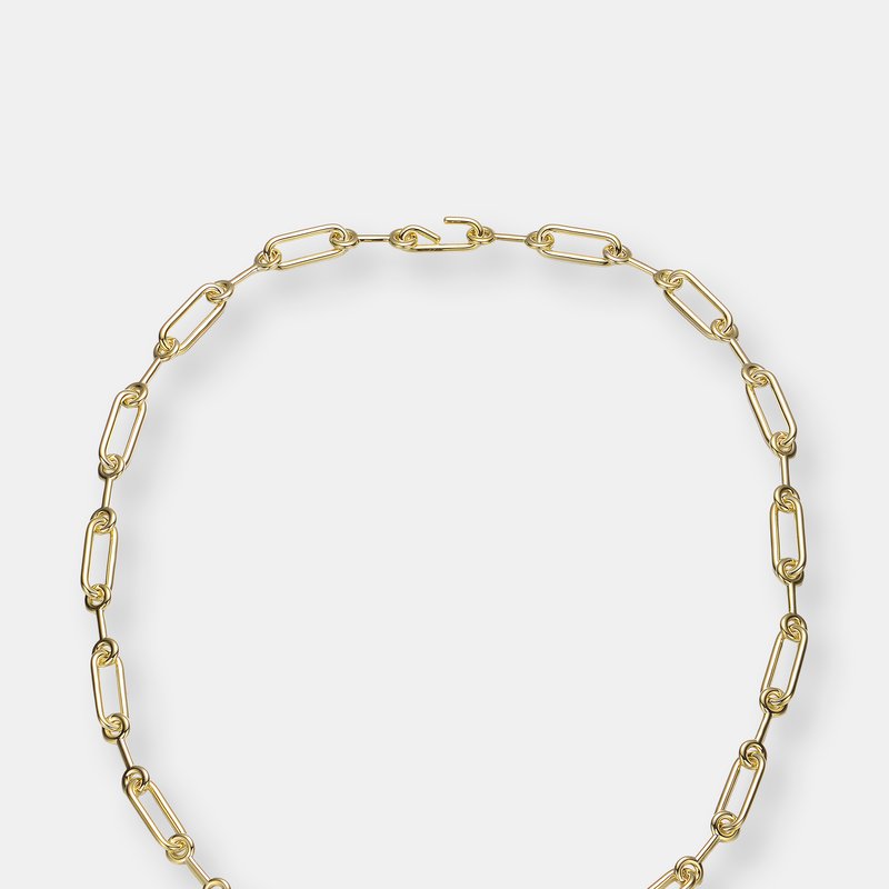 Shop Rachel Glauber 14k Gold Plated Two Ornament Design Chain Necklace