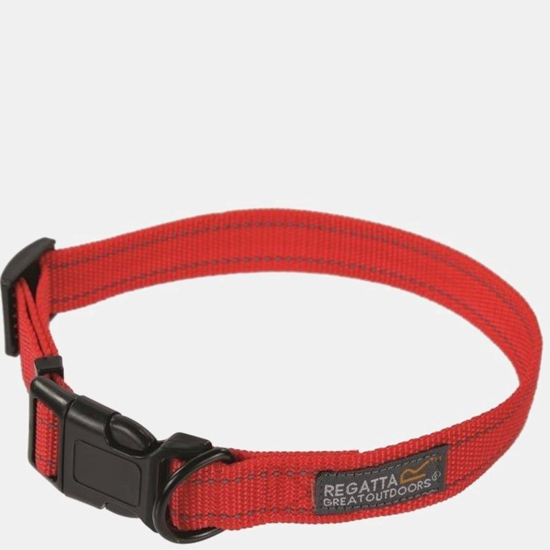 Regatta Comfort Dog Collar In Red