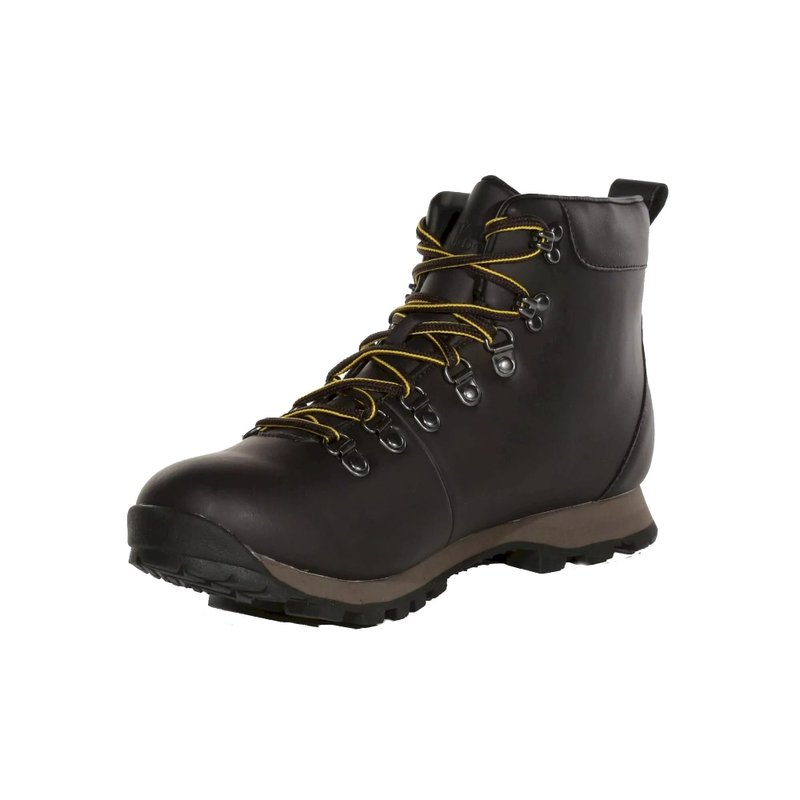Regatta Mens Cypress Evo Leather Walking Boots In Brown