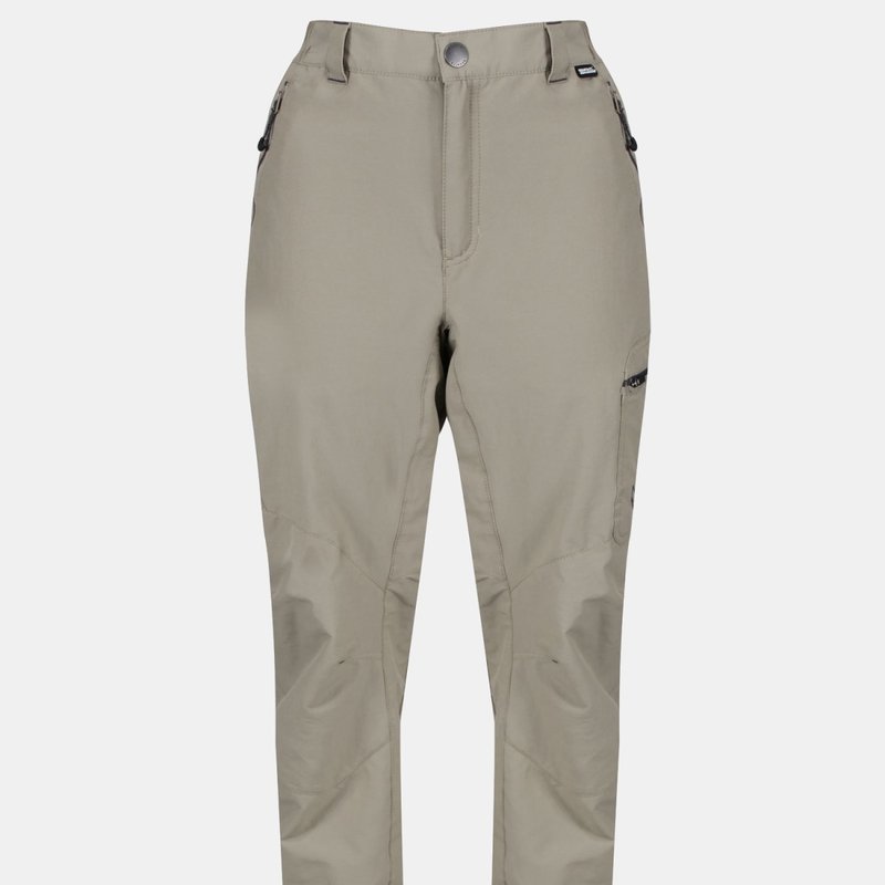 Regatta Mens Highton Hiking Trousers In Grey