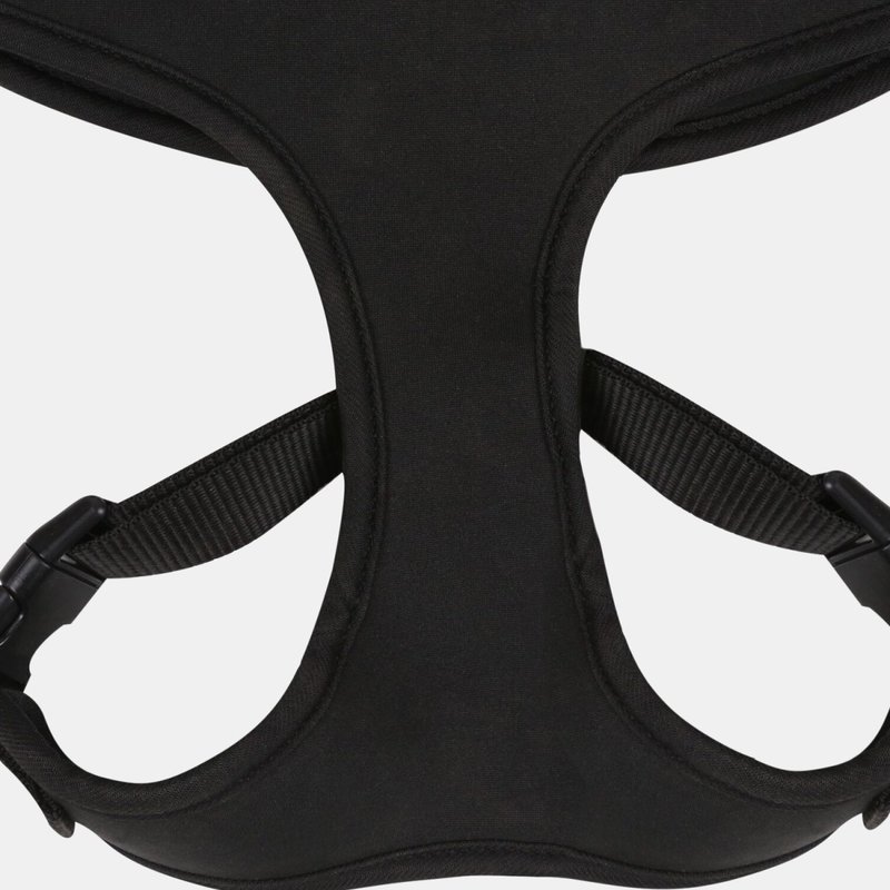 Regatta Dog Harness (black) (m)