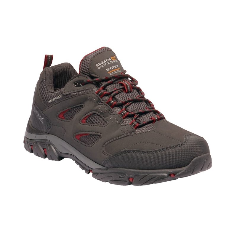 Regatta Mens Holcombe Iep Low Hiking Boots In Ash/rio Red