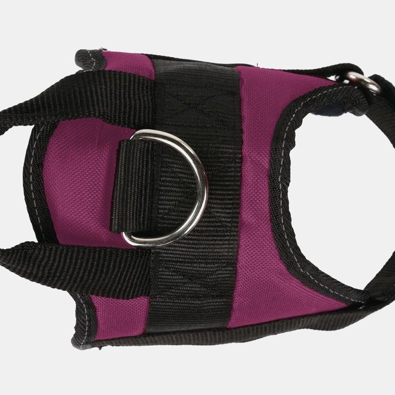 Regatta Reflective Dog Harness (azalia) (s) In Pink