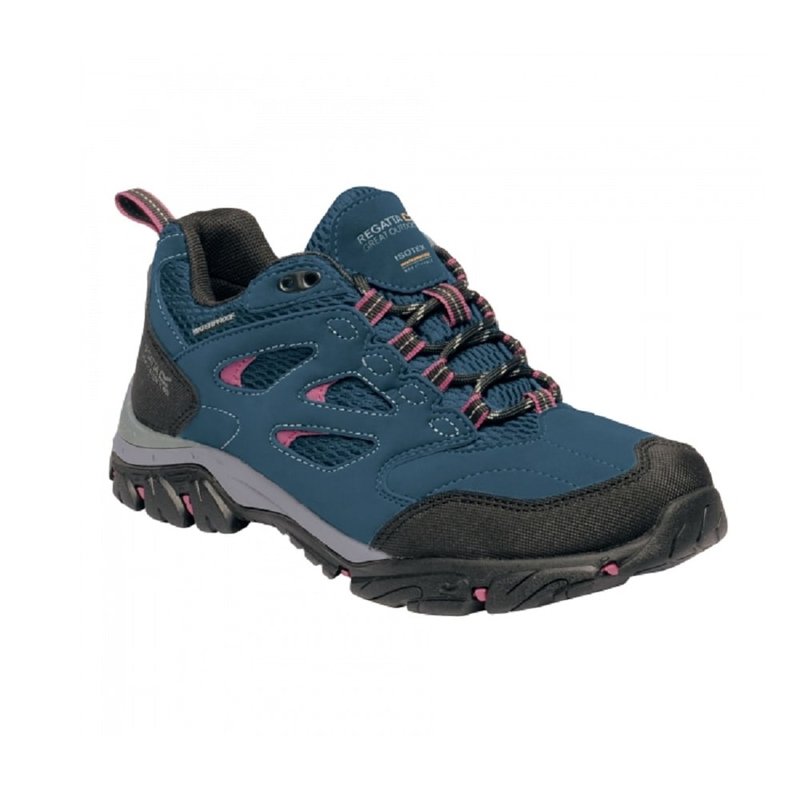 Regatta Womens/ladies Holcombe Iep Low Hiking Boots (moroccan Blue/red Violet)
