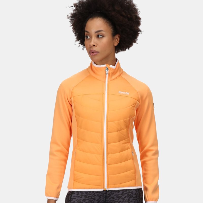 Regatta Womens/ladies Clumber Ii Hybrid Insulated Jacket In Orange