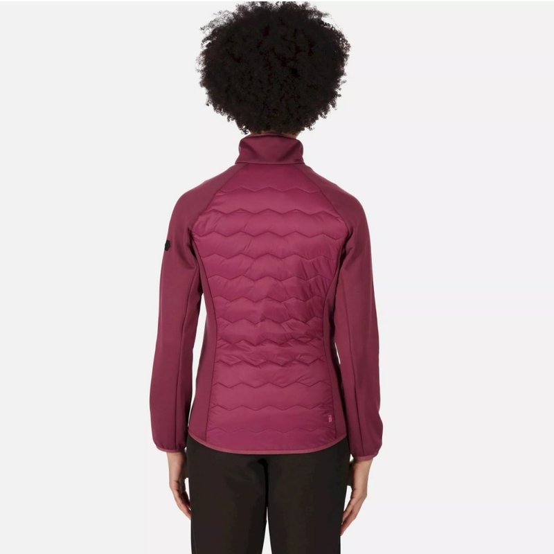 Shop Regatta Womens/ladies Clumber Iii Hybrid Jacket In Purple