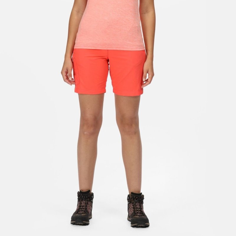 Regatta Womens/ladies Josie Gibson Fingal Edition T-shirt In Orange