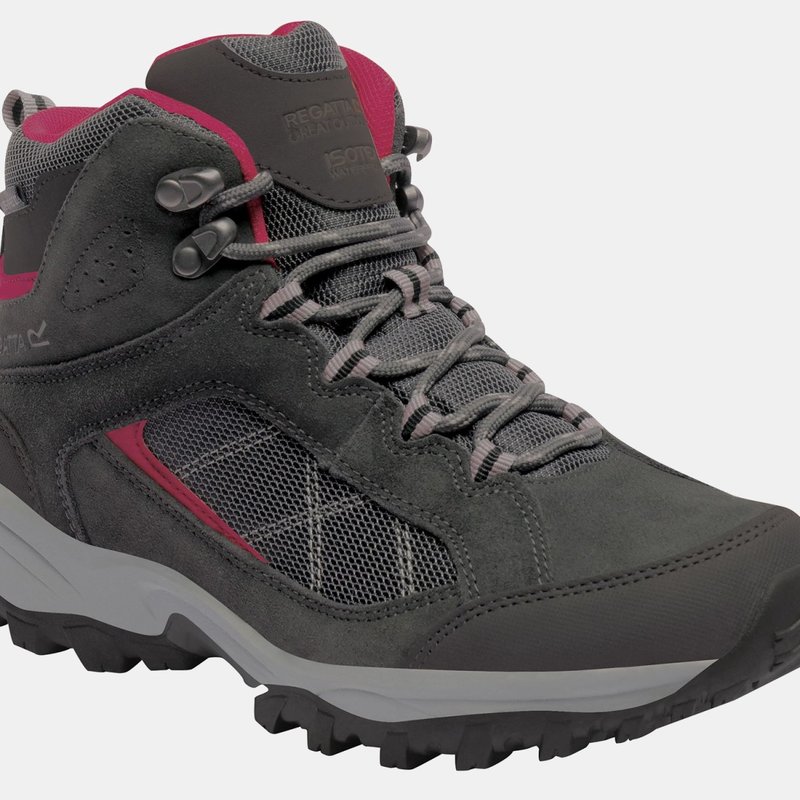 Regatta Womens/ladies Lady Clydebank Waterproof Hiking Boots In Grey