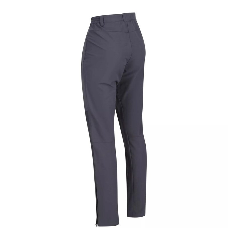 Shop Regatta Womens/ladies Questra Iv Stretch Hiking Trousers In Grey