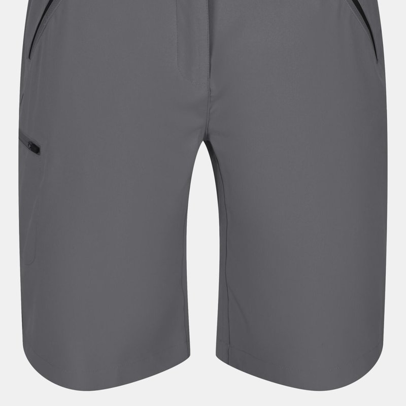 Regatta Womens/ladies Xert Stretch Shorts In Grey