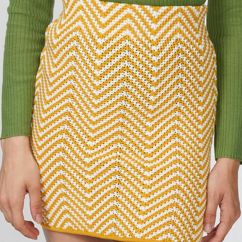 Shop Ronny Kobo Biance Knit Skirt In Canary Multi In Yellow