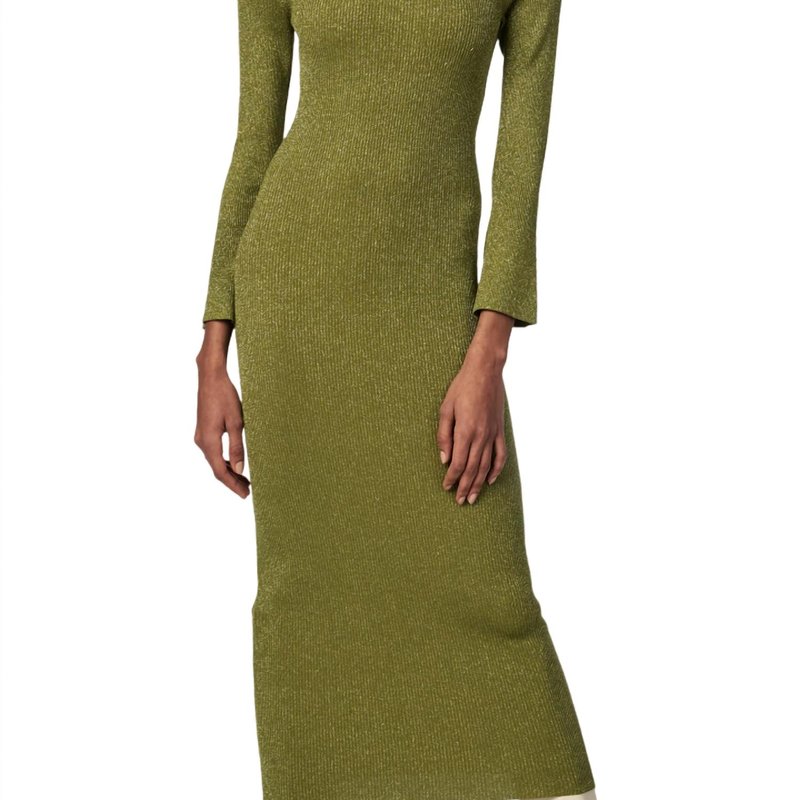 Shop Ronny Kobo Charluna Dress In Green