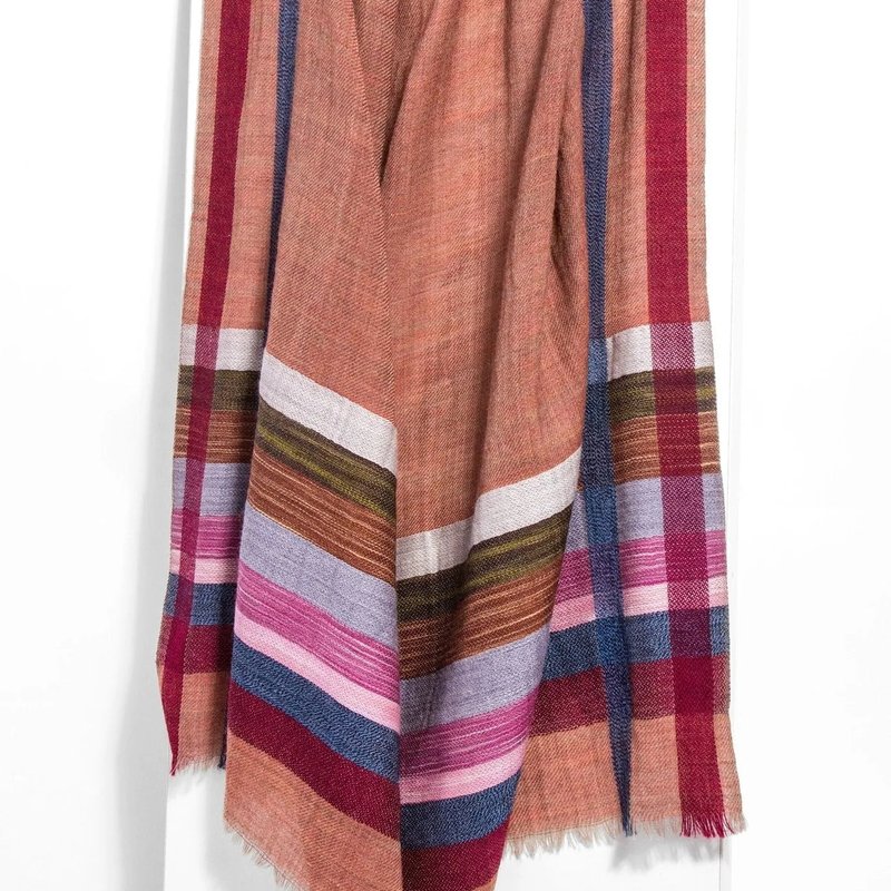 Saachi Style Plaid Border Scarf In Brown