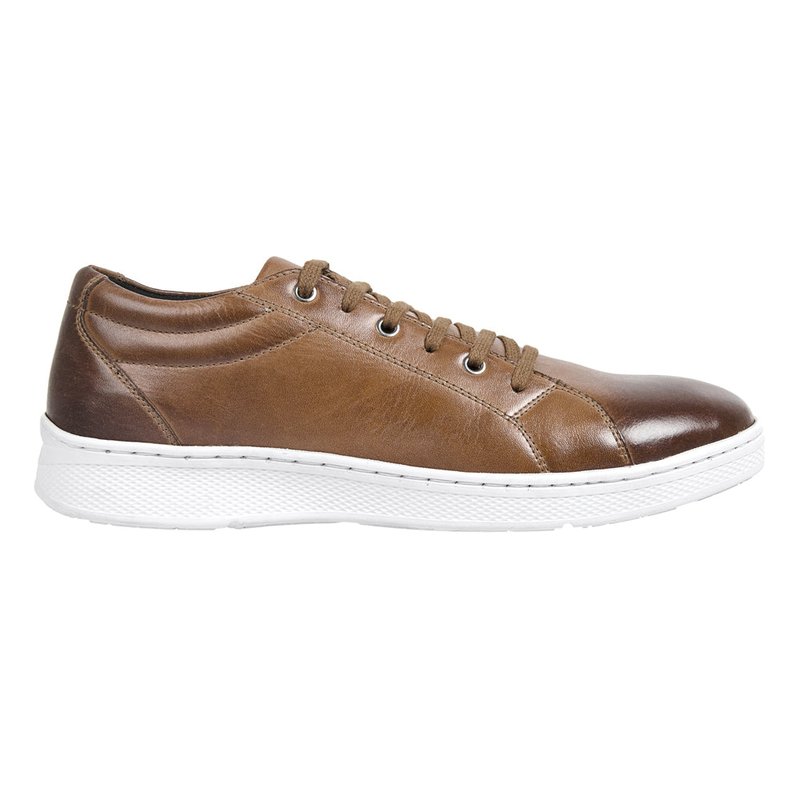 Sandro Moscoloni Bravo Tan Perfed Toe Six Eyelet Sneakers In Brown