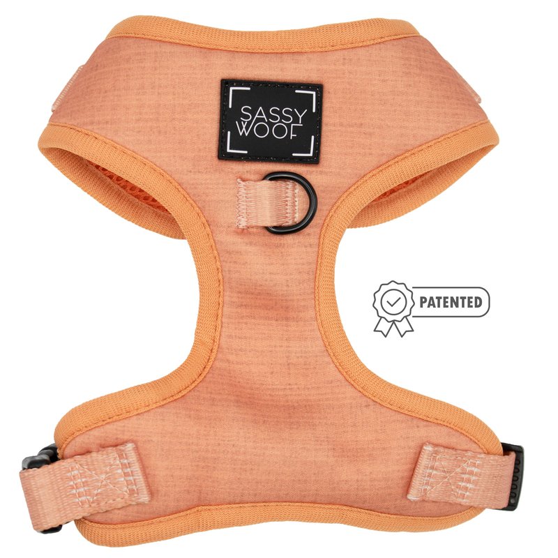 Sassy Woof Adjustable Harness In Orange