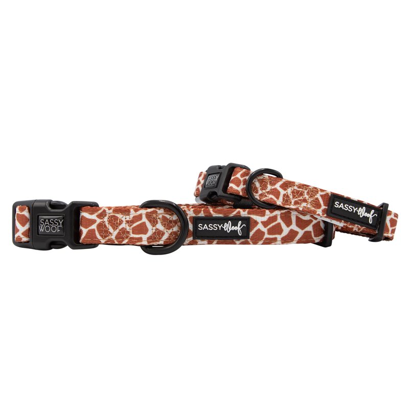 Sassy Woof Collar In Brown