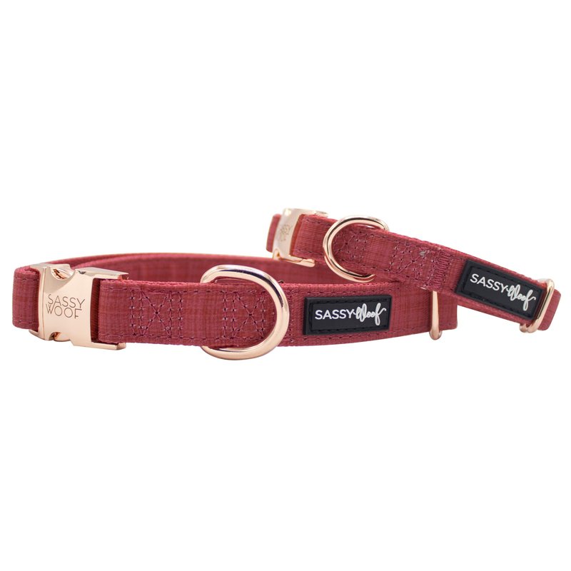 Sassy Woof Collar In Red