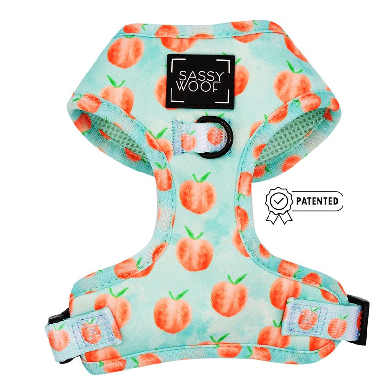 Sassy Woof Dog Adjustable Harness In Green