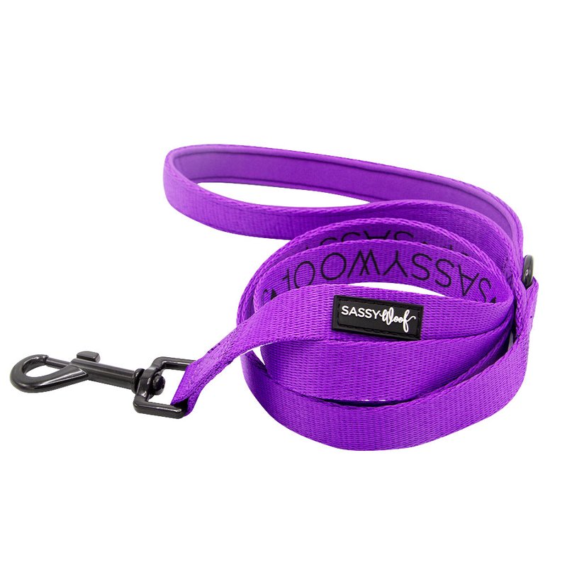 Sassy Woof Dog Leash In Purple