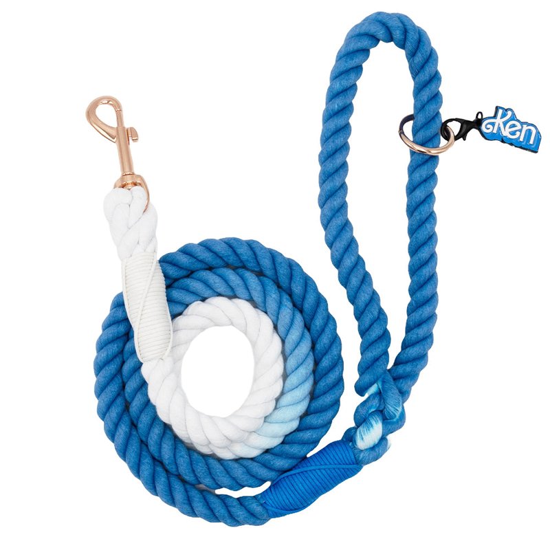 Shop Sassy Woof Dog Rope Leash In Blue