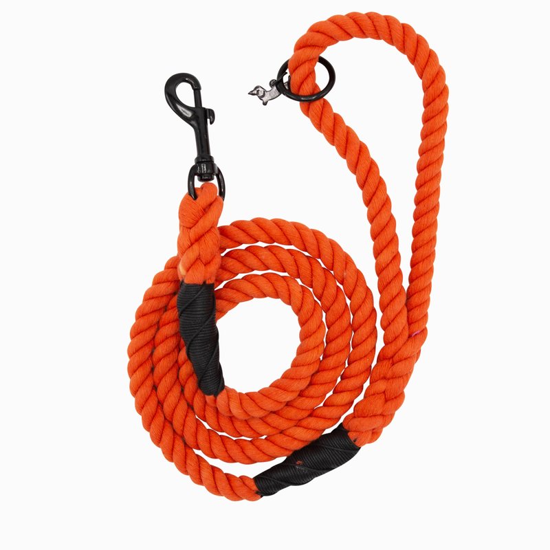 Sassy Woof Dog Rope Leash In Orange