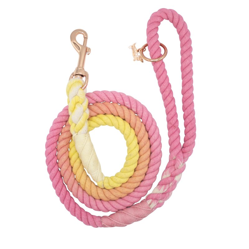 Sassy Woof Dog Rope Leash In Pink