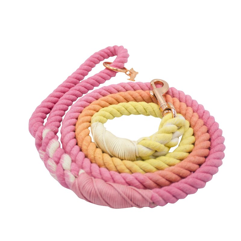 Shop Sassy Woof Dog Rope Leash In Pink