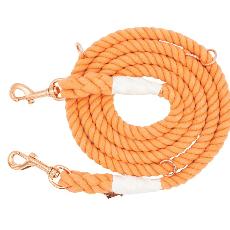 Sassy Woof Hands Free Rope Leash In Orange