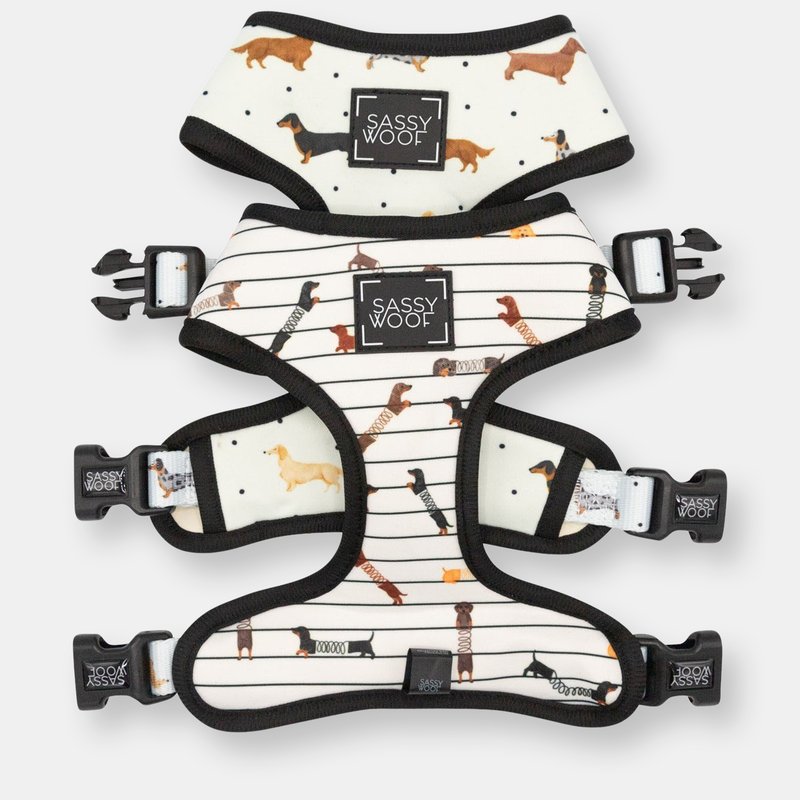 Sassy Woof Reversible Harness In White Multi