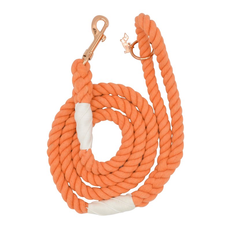 Sassy Woof Rope Leash In Orange