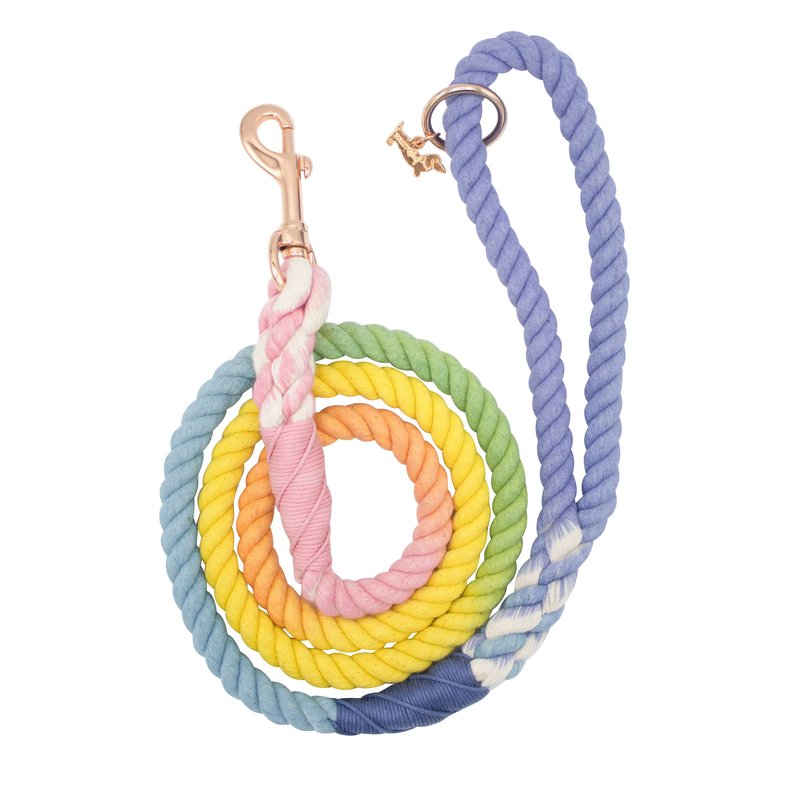Sassy Woof Rope Leash In Blue