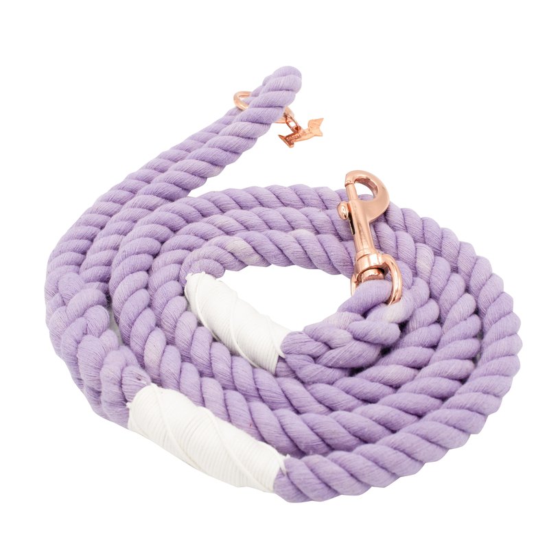 Shop Sassy Woof Rope Leash In Purple