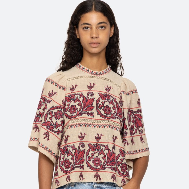 Sea Beena Puff-sleeve Embroidered-gauze Top In Brown