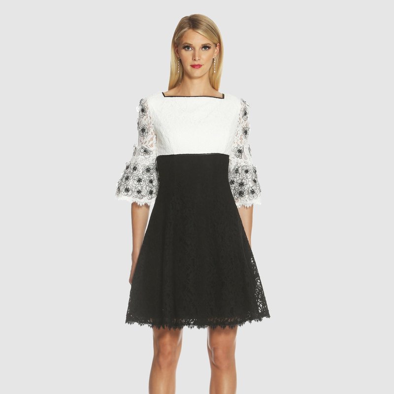 Shani Colorblock Fit And Flare Lace Dress In Black/white