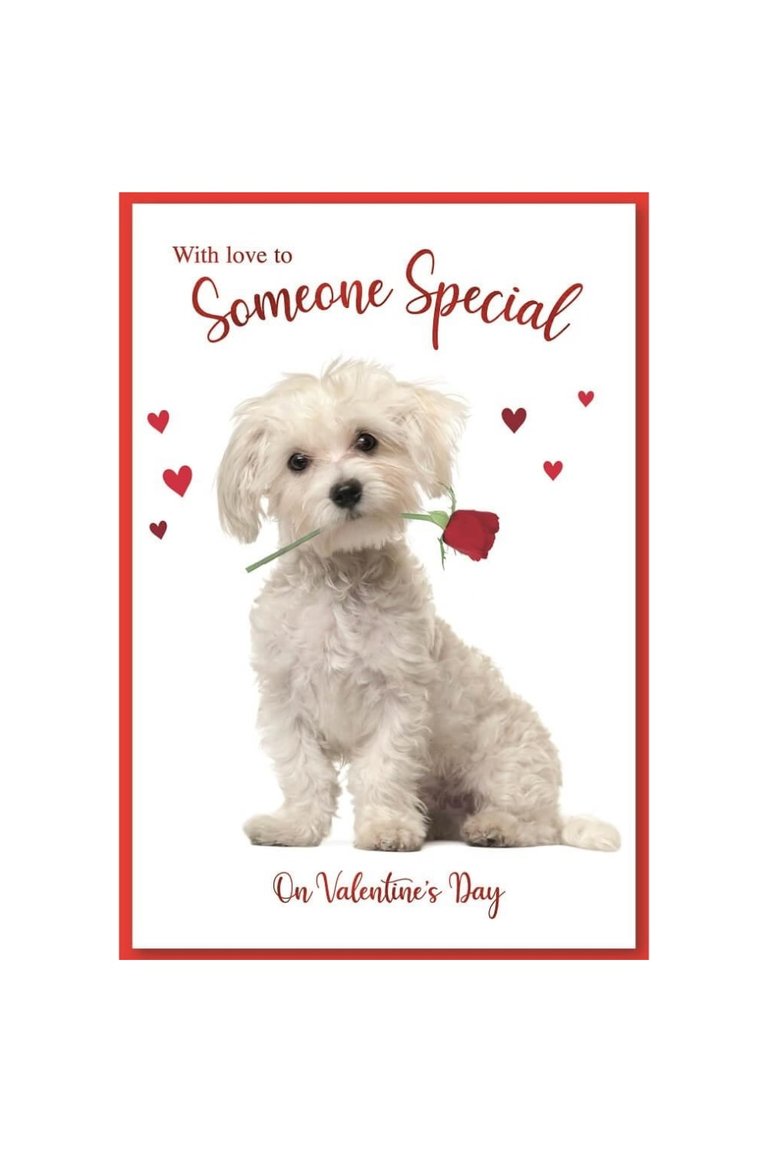 Puppy Valentine Greetings Card - Pack of 6 - White/Red