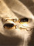 Ekta Crystal & Smoky Quartz Earrings - Gold