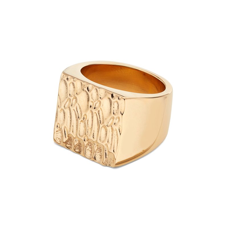 Soko Milima Signet Ring In Gold