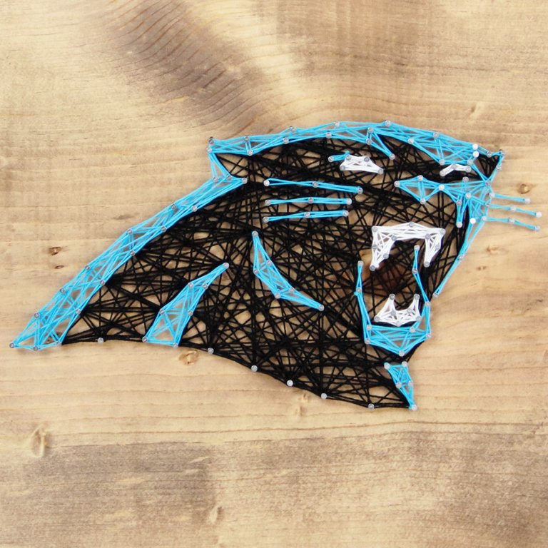 NFL Carolina Panthers String Art Kit