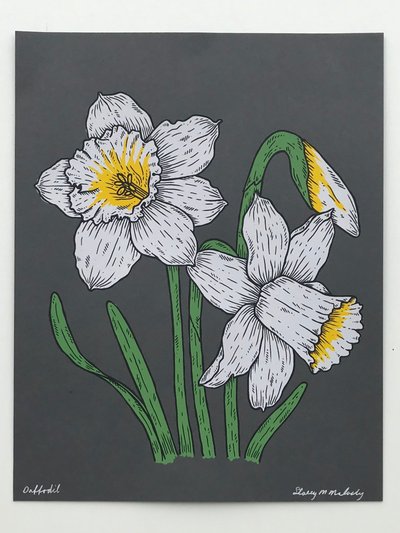 Stacey Malasky Daffodils Print product