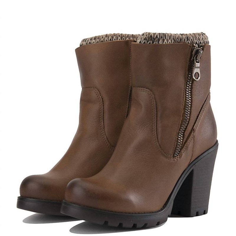 Steve Madden Sweaterr Ankle Boot In Brown