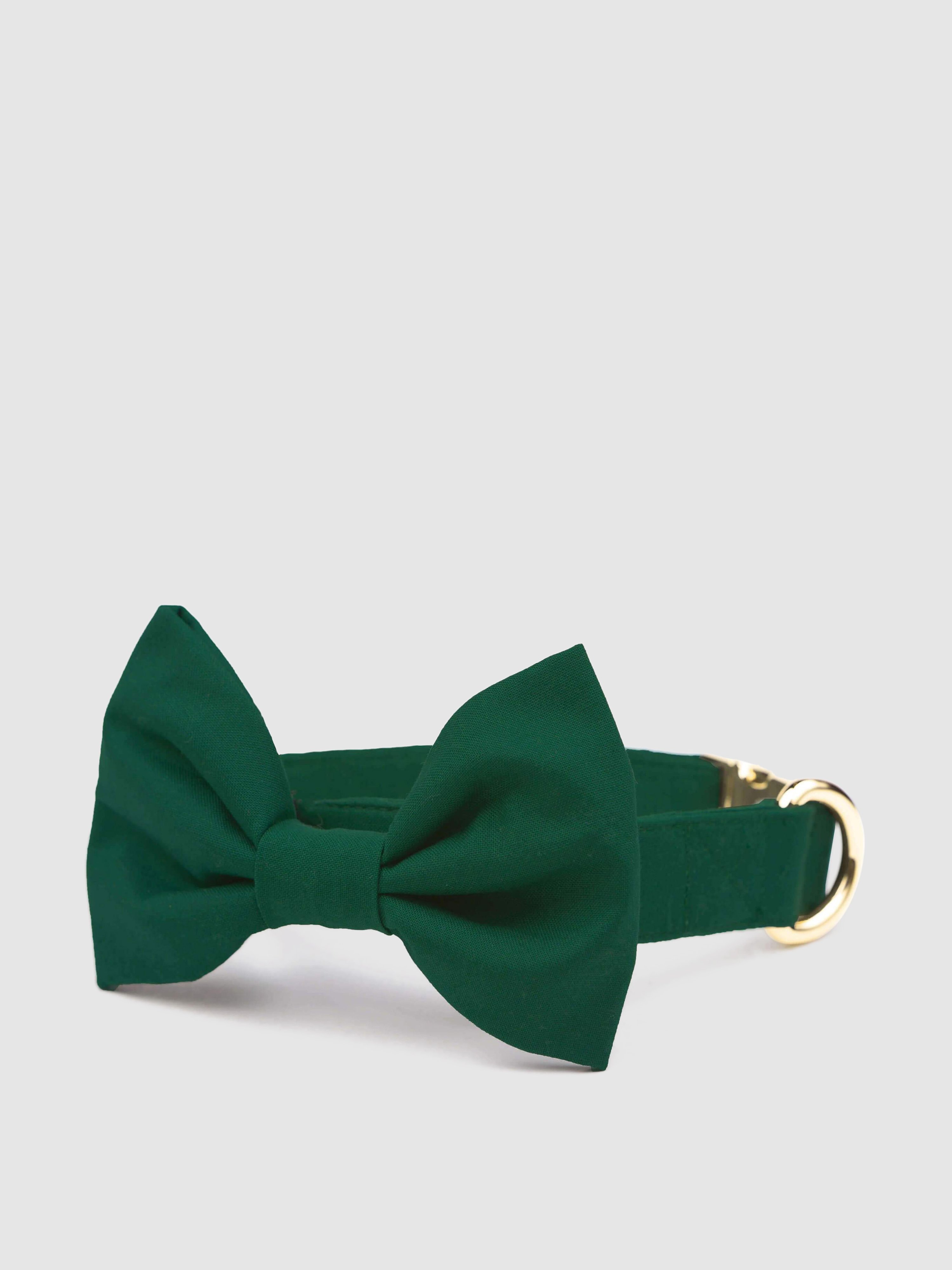 The Foggy Dog Evergreen Bow Tie Collar In Green