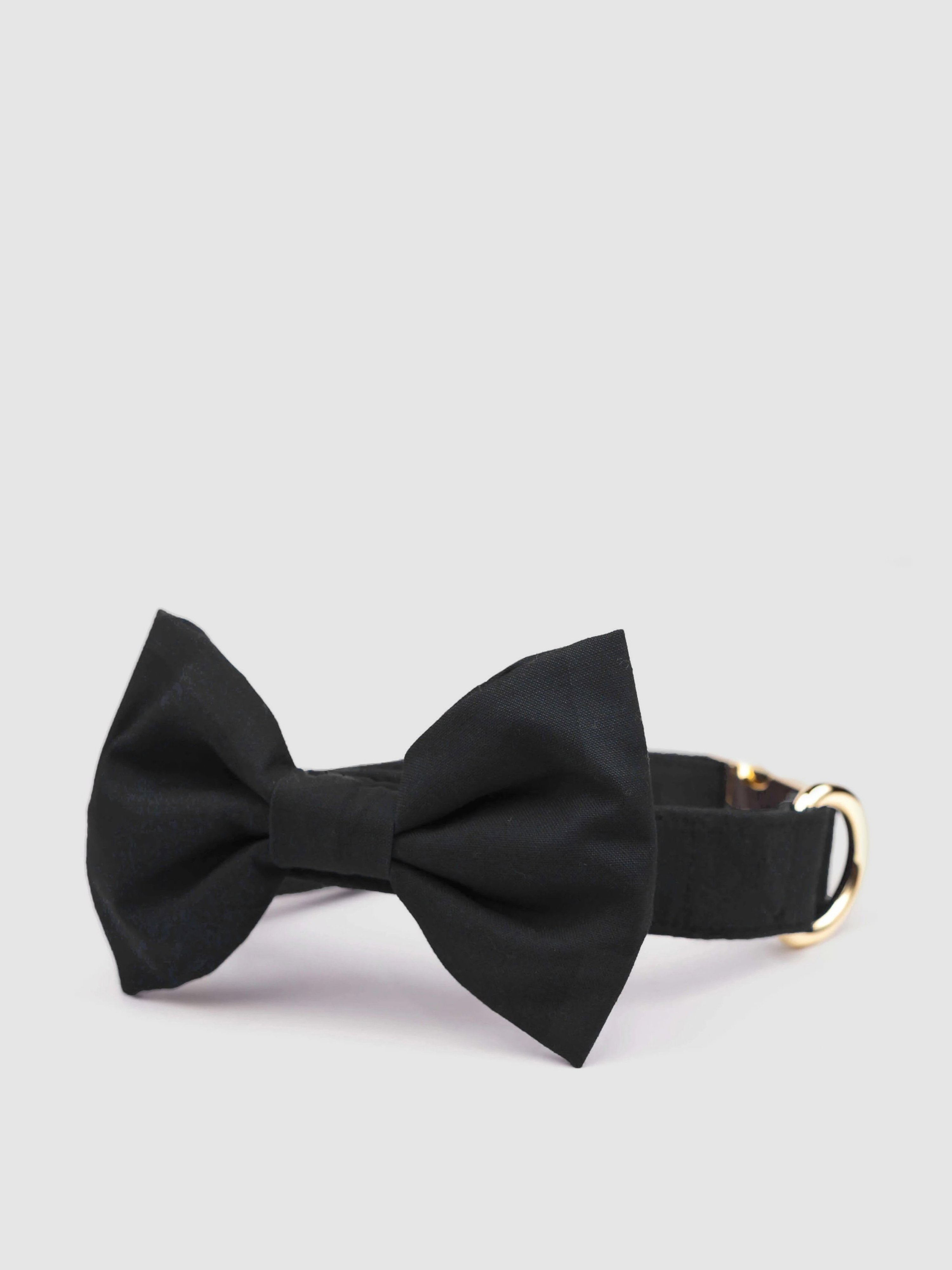 The Foggy Dog Onyx Bow Tie Collar In Black